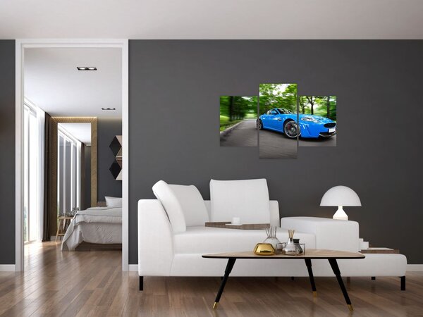 Slika - Trkaći automobil (90x60 cm)