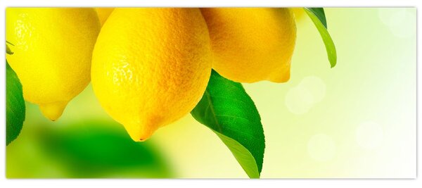 Slika limuna (120x50 cm)