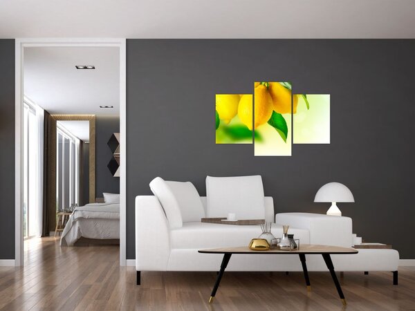Slika limuna (90x60 cm)