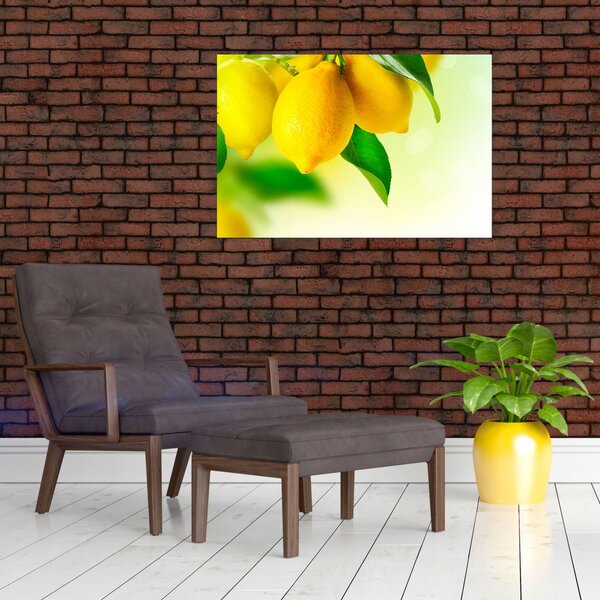 Slika limuna (90x60 cm)
