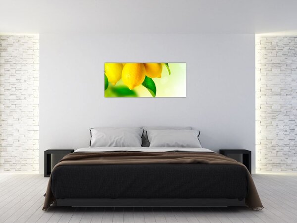 Slika limuna (120x50 cm)