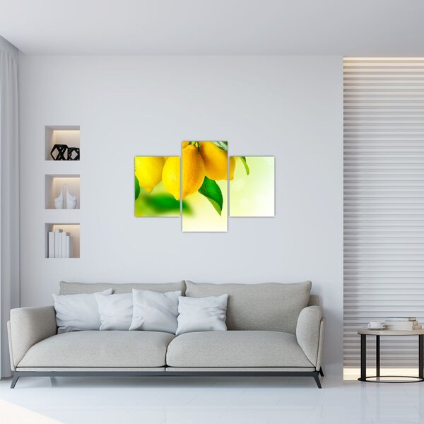 Slika limuna (90x60 cm)