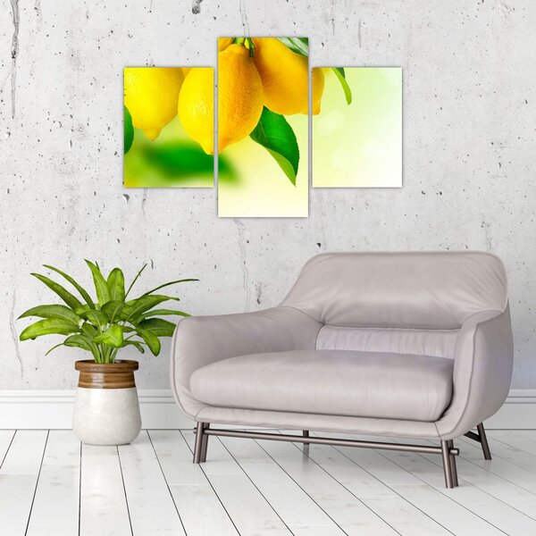 Slika limuna (90x60 cm)
