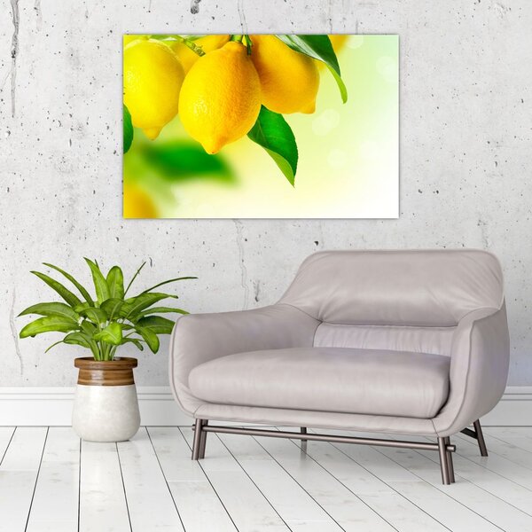 Slika limuna (90x60 cm)