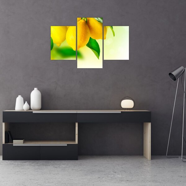 Slika limuna (90x60 cm)