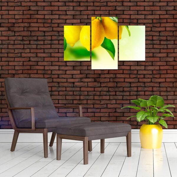 Slika limuna (90x60 cm)