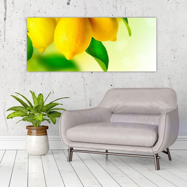 Slika limuna (120x50 cm)