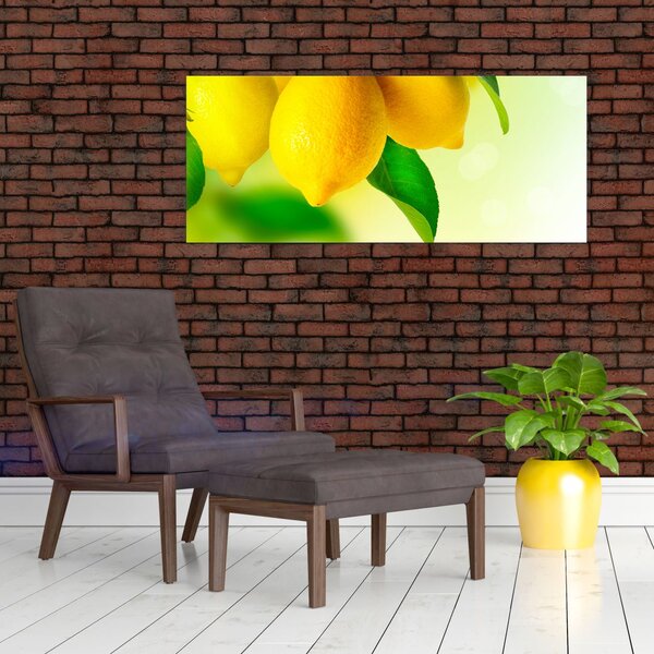 Slika limuna (120x50 cm)