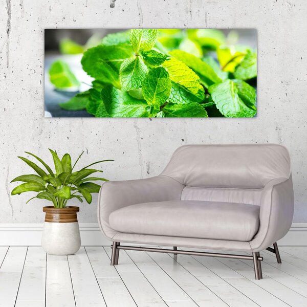 Slika metvice (120x50 cm)
