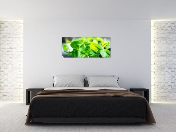 Slika metvice (120x50 cm)