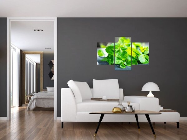 Slika metvice (90x60 cm)