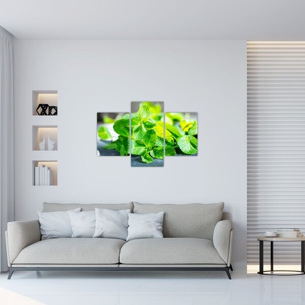 Slika metvice (90x60 cm)
