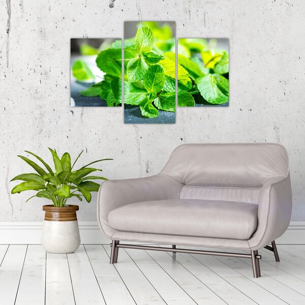 Slika metvice (90x60 cm)