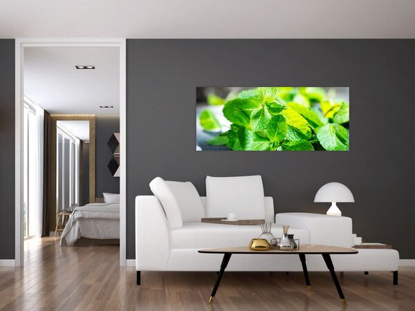 Slika metvice (120x50 cm)