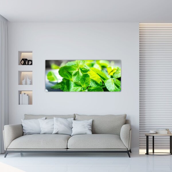 Slika metvice (120x50 cm)