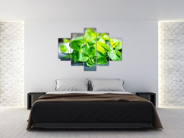 Slika metvice (150x105 cm)