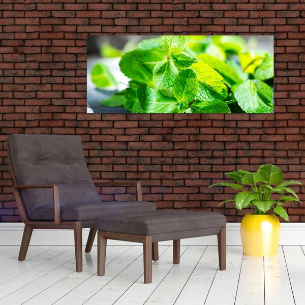 Slika metvice (120x50 cm)