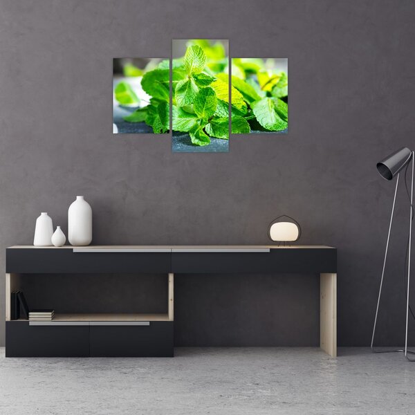 Slika metvice (90x60 cm)