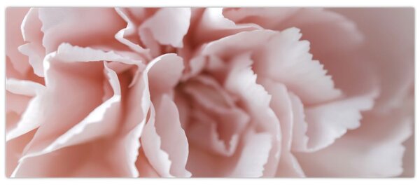 Slika - Detalj cvijeta (120x50 cm)
