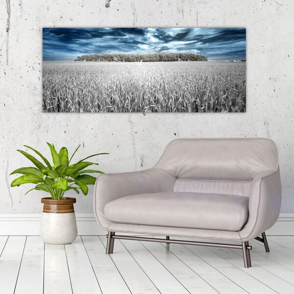 Slika polja (120x50 cm)