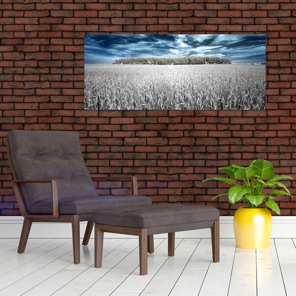 Slika polja (120x50 cm)