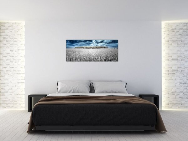 Slika polja (120x50 cm)