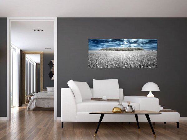 Slika polja (120x50 cm)