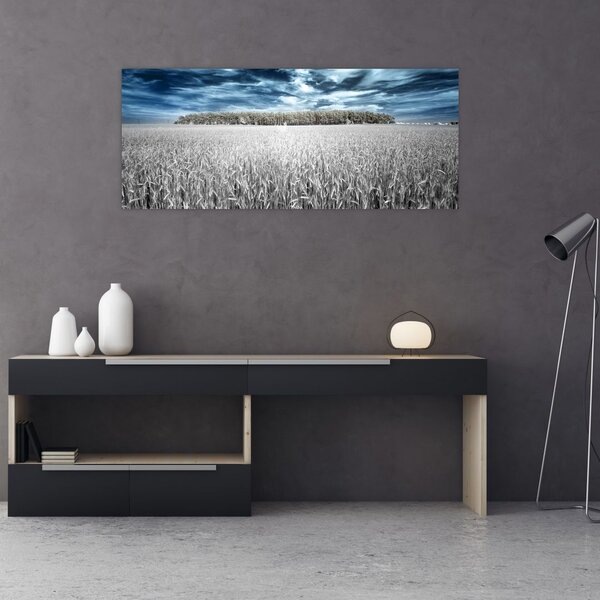 Slika polja (120x50 cm)