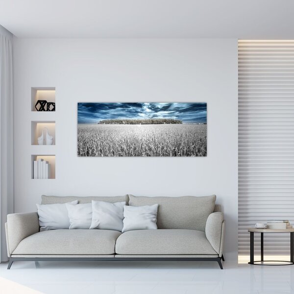 Slika polja (120x50 cm)