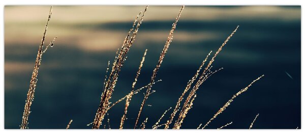 Slika trava (120x50 cm)