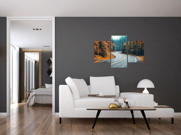 Slika - Vijugava cesta (90x60 cm)