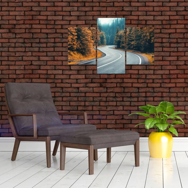 Slika - Vijugava cesta (90x60 cm)