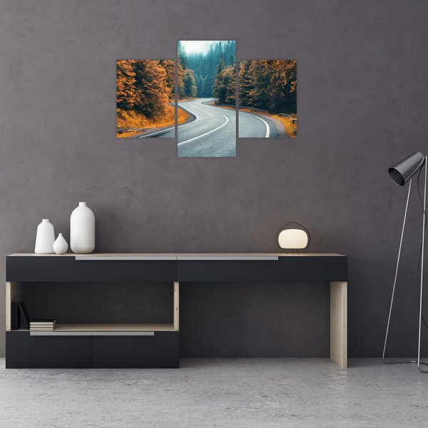 Slika - Vijugava cesta (90x60 cm)
