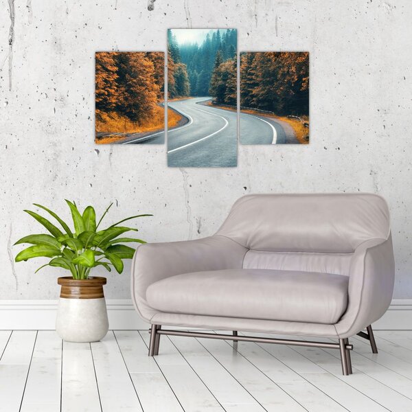 Slika - Vijugava cesta (90x60 cm)