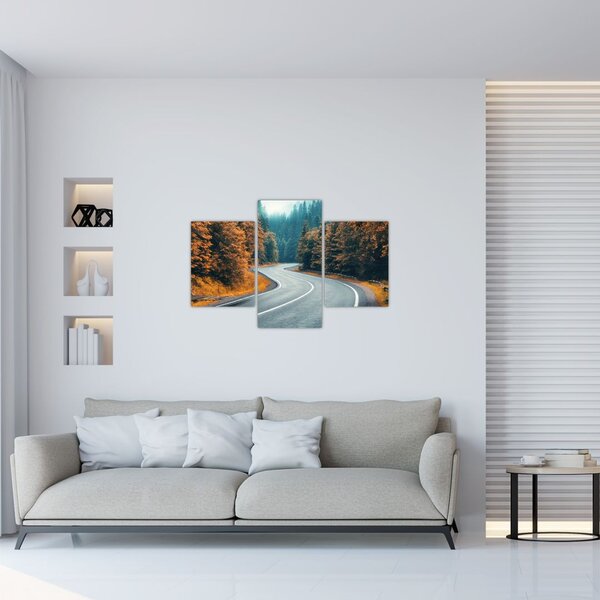 Slika - Vijugava cesta (90x60 cm)