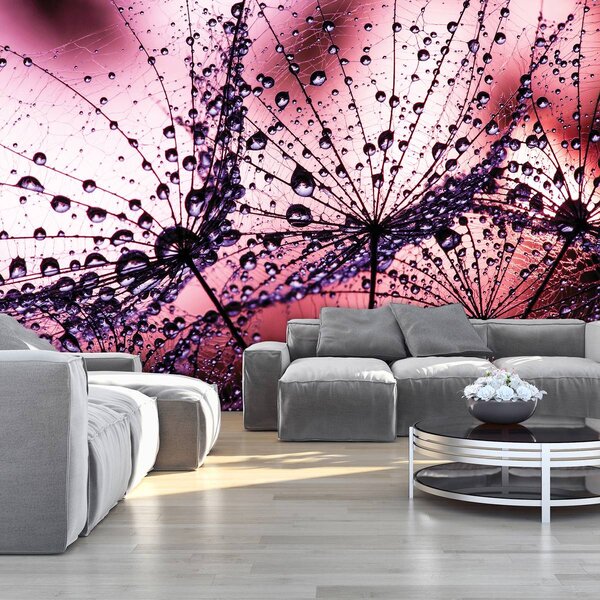 Foto tapeta - Maslačak - apstraktni - ljubičasta (152,5x104 cm)