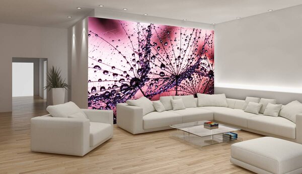 Foto tapeta - Maslačak - apstraktni - ljubičasta (152,5x104 cm)