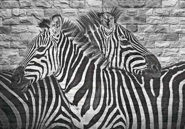 Foto tapeta - Zebre naslikane na zidu od opeke (152,5x104 cm)