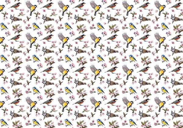 Foto tapeta - Ptice i cvjetni uzorak (152,5x104 cm)