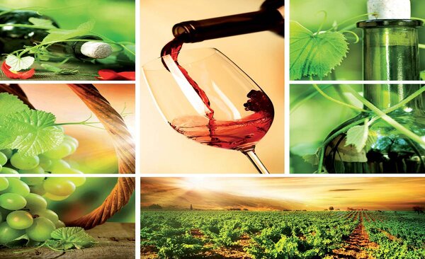 Foto tapeta - Vino (152,5x104 cm)