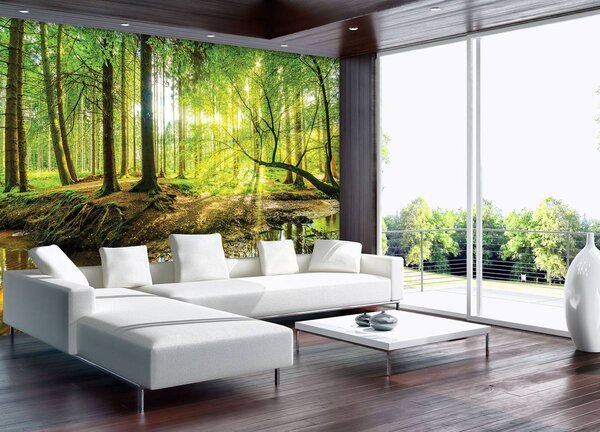Foto tapeta - Sunčana šuma (152,5x104 cm)