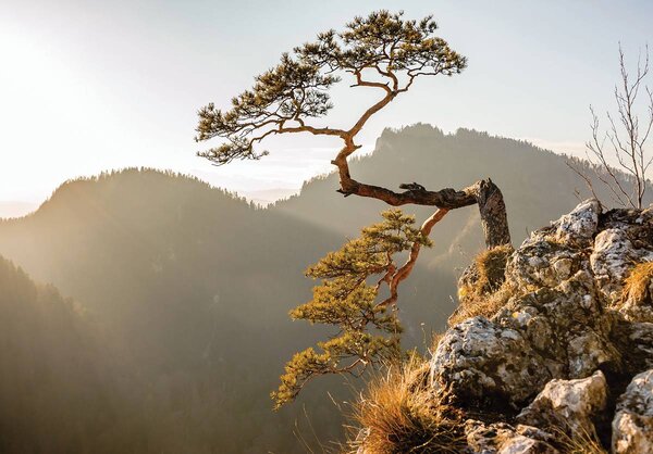 Foto tapeta - Planina Pieniny (152,5x104 cm)