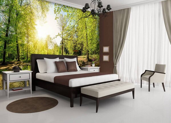 Foto tapeta - Zelena šuma (152,5x104 cm)