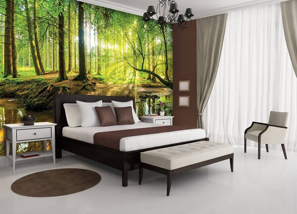Foto tapeta - Sunčana šuma (152,5x104 cm)