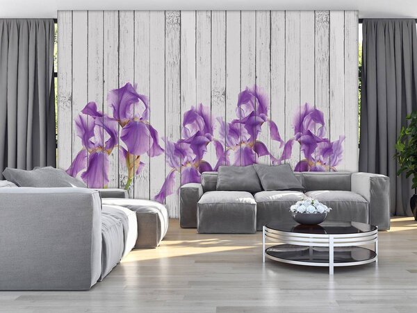 Foto tapeta - Irisi na drvenim pločama (152,5x104 cm)