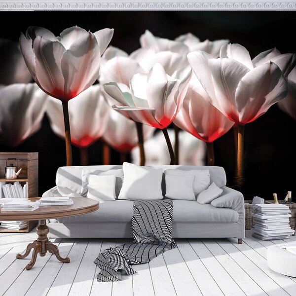 Foto tapeta - Cvijeće - dašak crvene boje (152,5x104 cm)