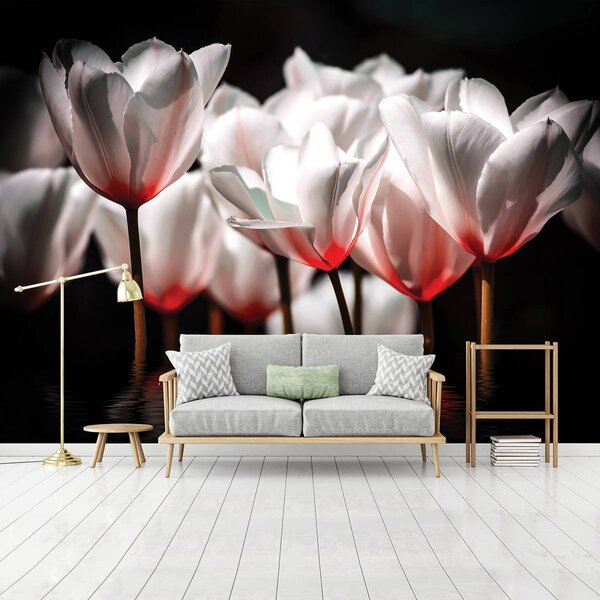 Foto tapeta - Cvijeće - dašak crvene boje (152,5x104 cm)