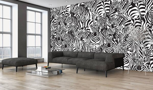 Foto tapeta - Zebra (152,5x104 cm)