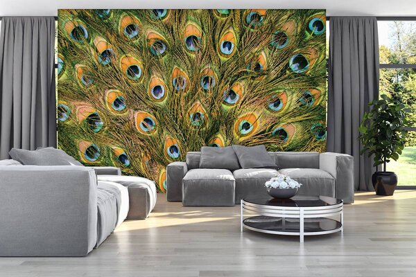 Foto tapeta - Paunovo perje (152,5x104 cm)
