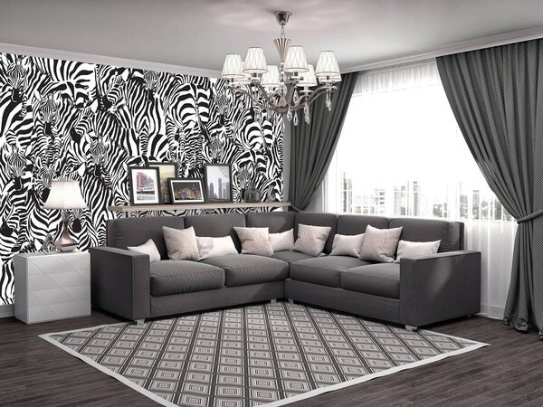 Foto tapeta - Zebra (152,5x104 cm)